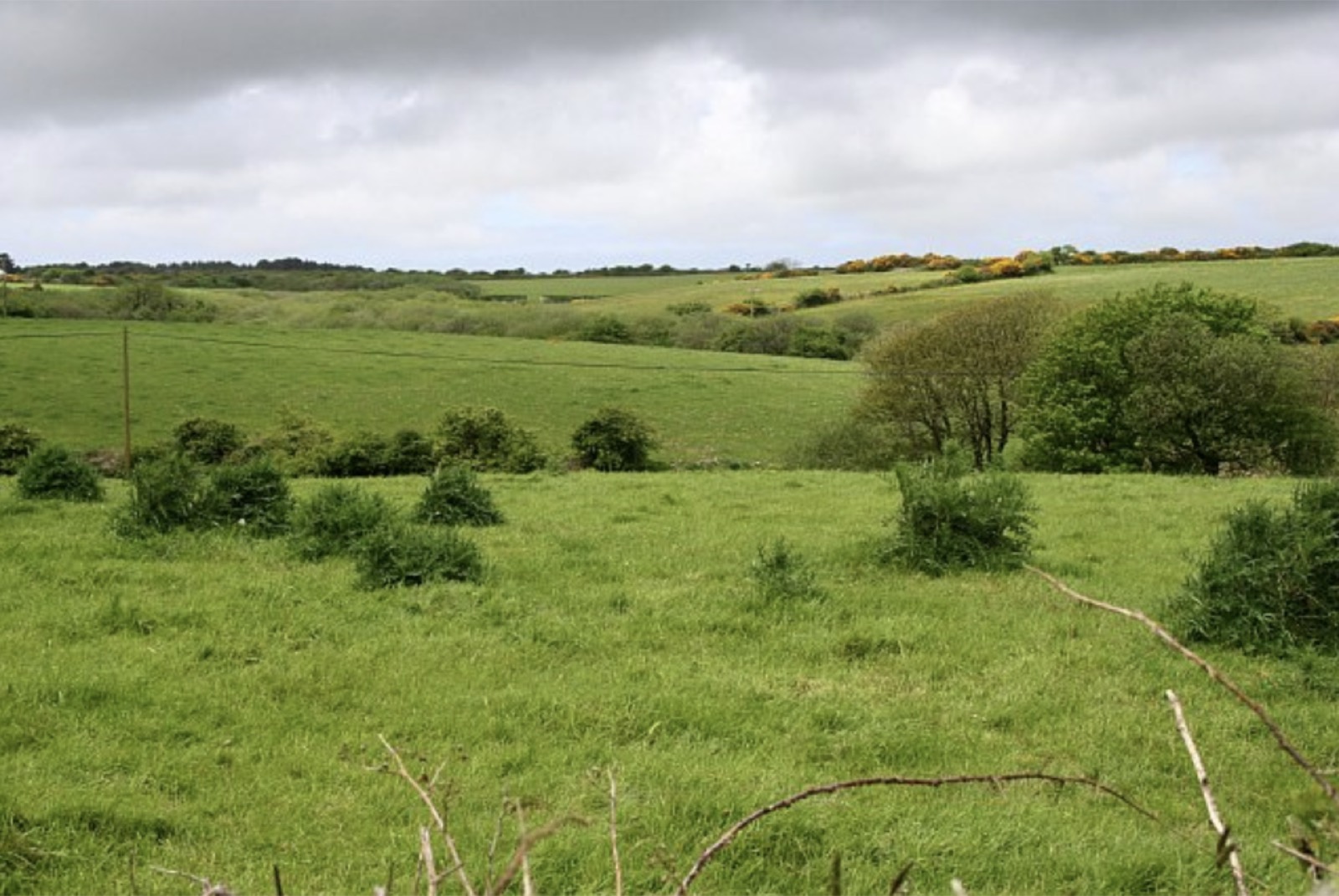 Green rolling pasture land